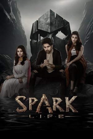 Spark LIFE