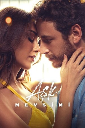 Season Of Love