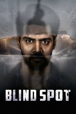 Blind Spot